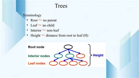 Binary Tree Data Structure Image 的图像结果