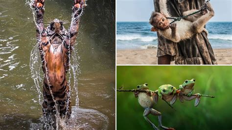 Image result for Real Magic Caught on Camera