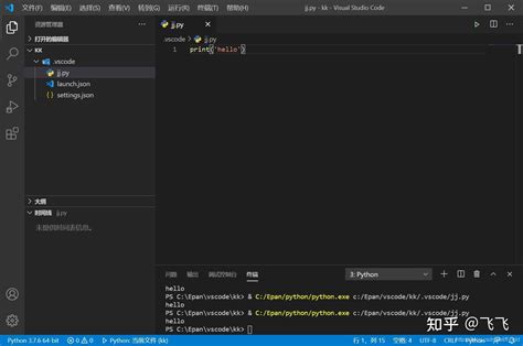 Vscode Package.json Python 的图像结果