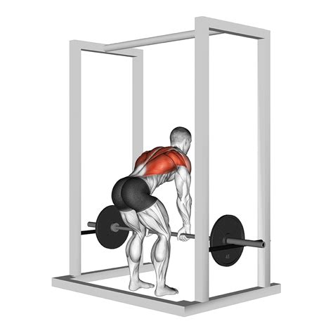 6 Barbell Row Alternatives for Max Gains (With Pictures!) - Inspire US