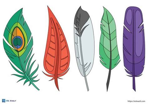 81 Free printable feather templates (PDF) - ESL Vault