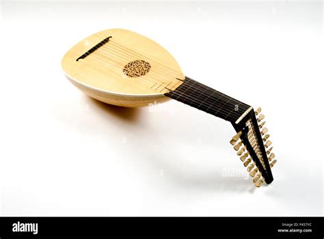 Image result for Plucked String Instrument