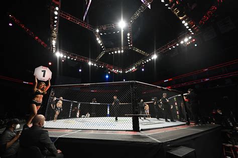 UFC Boxing 的图像结果