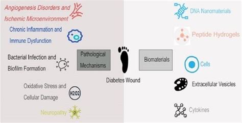 Application of Biomaterials in Diabetic Wound Healing: The Recent ...