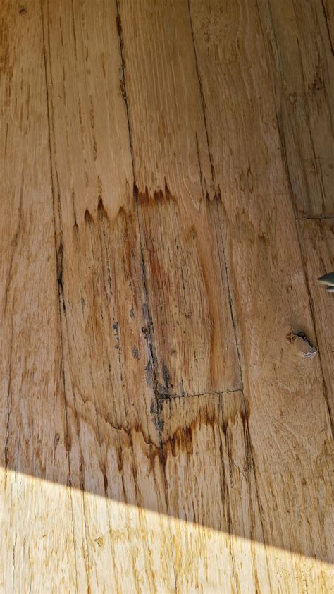 advice for repairing a water damaged floor? my friend was kind enough ...