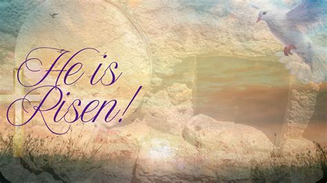 Sunrise Service – Steele Creek Presbyterian Church at Pleasant Hill