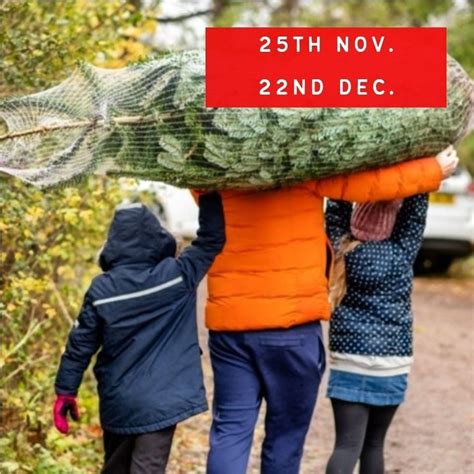 Choose your 2023 Christmas Tree, MERRI Christmas Trees, Bedford, 9 ...