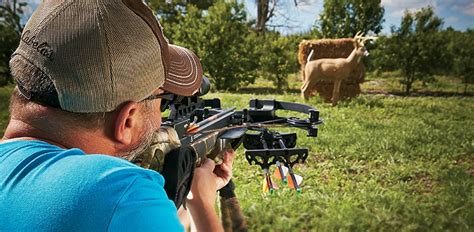 Image result for Crossbow Shooting Tips