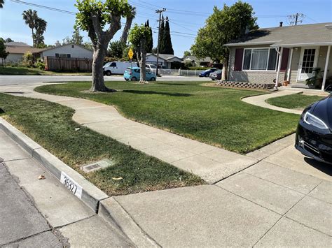 Grass Paint, Lawn Paint to Spray Grass Green, Grass Dye, Grass Spray ...