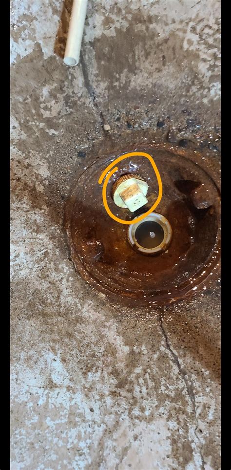 basement floor drain, what is this plug and the space behind it for? is ...