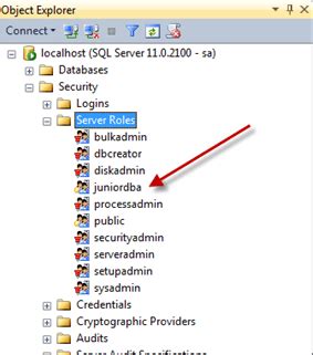 Database Denydatareader Role Work in SQL Server 的图像结果