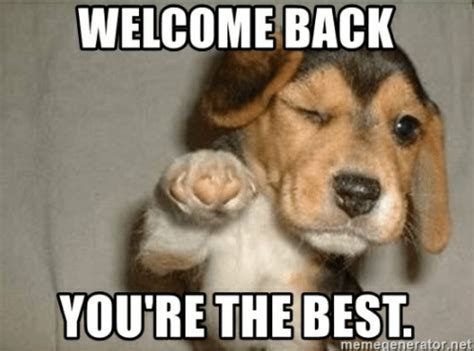 Image result for Cat Sketch Tutorial