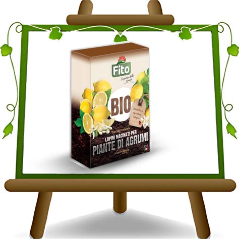 Lupin flakes Archivi - Vendita piante, vivaio online - Euro Plants Vivai