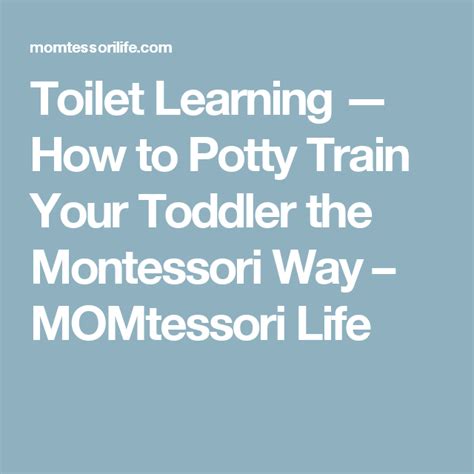 fastest way to toilet train a puppy