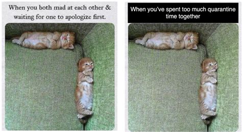 What Does Meme Mean In English Slang - Infoupdate.org