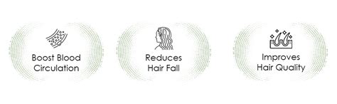 Sifoz Derma Roller For Hair Growth 1 mm With 540 Titanium Needles ...