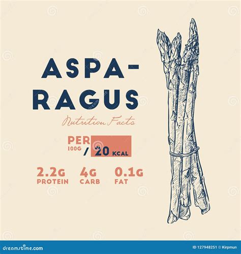 Health Benefits of Asparagus. Stock Vector - Illustration of data, chart: 127948251