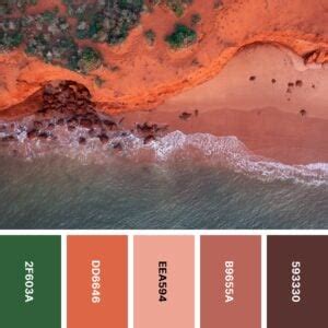 Nature Color 的图像结果