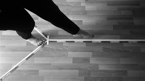 Image result for Y Balance Excursion Test