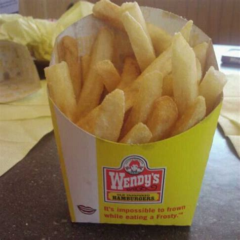 Wendy S Nutrition Fries Medium | Besto Blog
