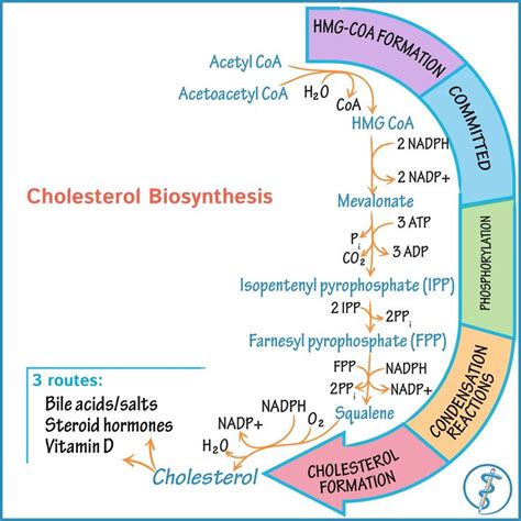 Image result for Biochemistry Tutorials