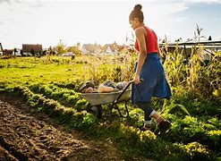 Image result for farming