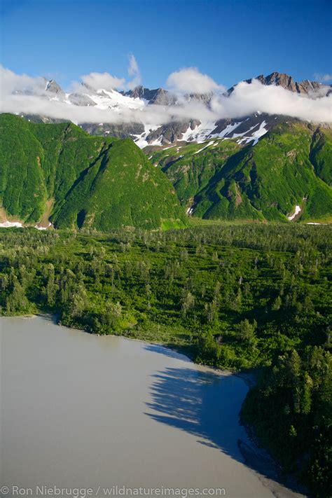 Copper River Delta | Photos by Ron Niebrugge