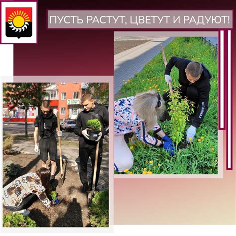 Экология » Осинники, официальный сайт города
