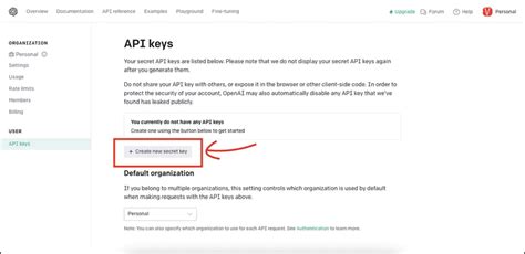 Where to Put API Key Openai Python 的图像结果