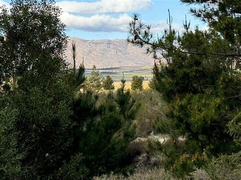 SCHOONGEZICHT CAMPSITE (Ceres) - Campground Reviews & Photos - Tripadvisor