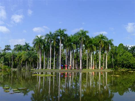 【携程攻略】勐腊中科院西双版纳热带植物园景点,景色如画，气候宜人，是一个值得去的景点。体力可以的话到植物园西区…