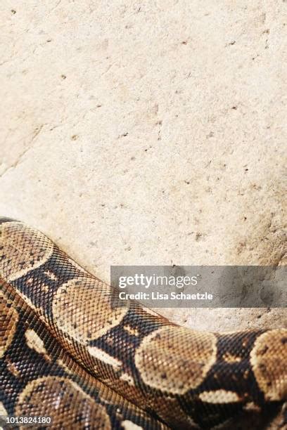 Image result for How to Create a 3D Floor Python