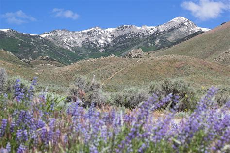 The Biden Administration should protect Nevada’s Ruby Mountains