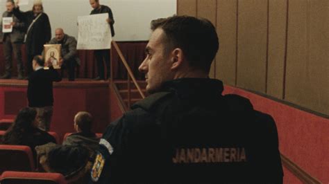 Poppy Field 2020 的图像结果