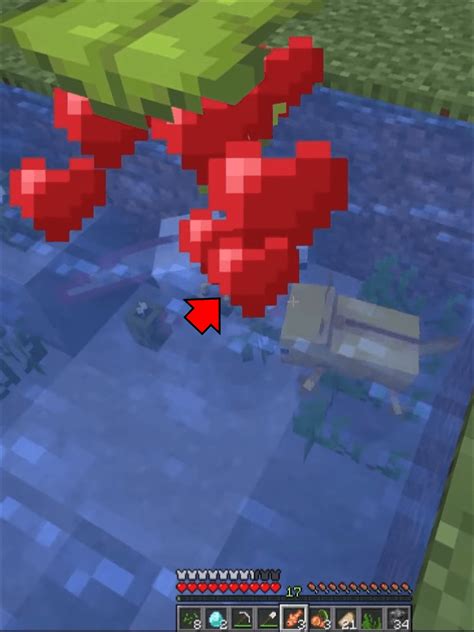 Image result for Minecraft Axolotl Farm Tutorial