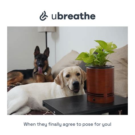 Mini Classic + Mini Lite | uBreathe Air Purifiers