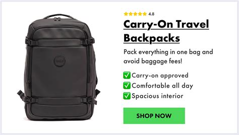 Personal Item Sizes & Dimensions | What You Should Know – Sunny 16