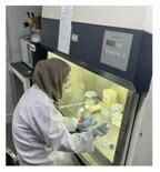 Welcome to Jamia Millia Islamia - A Central University