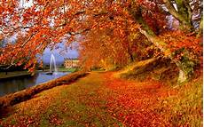 Home Screen Wallpapers Autumn by Autumn Screen Wallpaper 64 Images Home Screen Wallpapers Autumn