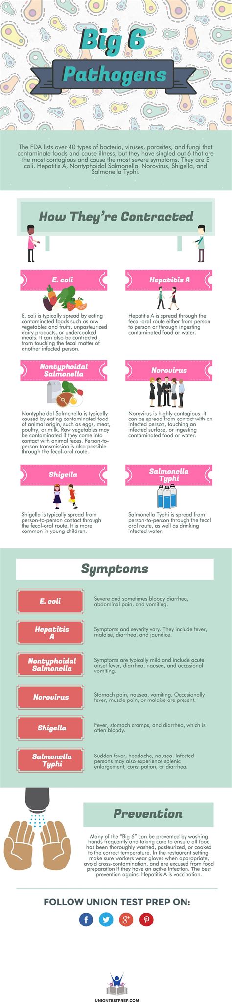 Big 6 Pathogens | Food safety posters, Food safety, Food safety and ...