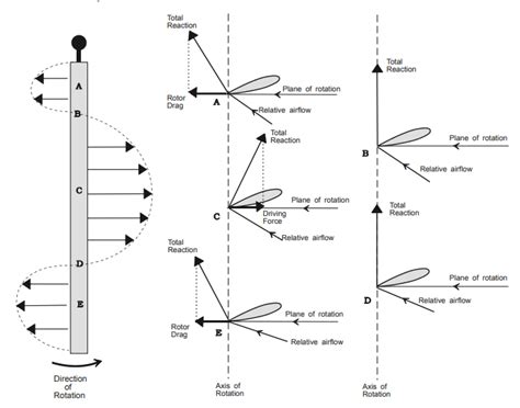 Image result for Autorotation