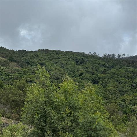 THE TAMARA KODAI (Kodaikanal) - Hotel Reviews, Photos, Rate Comparison ...