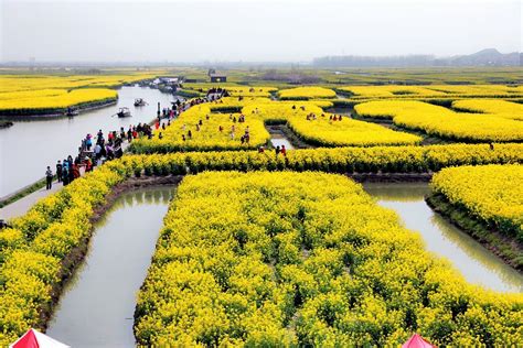 四月花开春渐灿！带你“云”赏石家庄各地春景-河北游攻略-墙根网