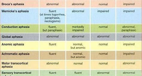 Image result for Aphasia Type Tree