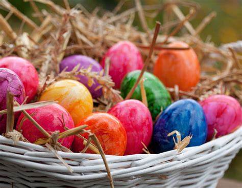 Eier knapp und teuer: Droht zu Ostern die Eier-Krise? | agrarheute.com