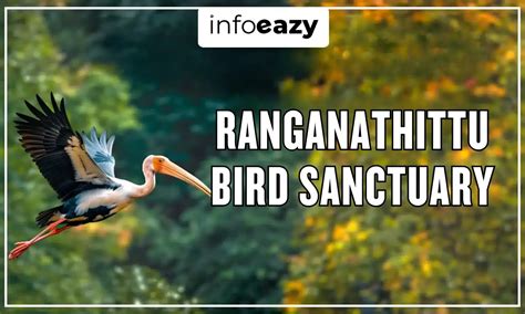 Ranganathittu Bird Sanctuary, Geographical Features, Flora, Fauna