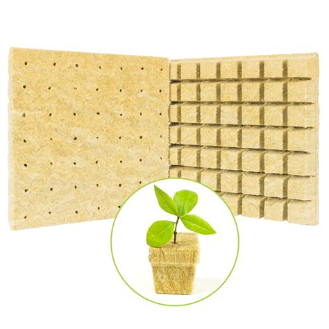 Buy SKINNYBUNNY Rockwool Cubes 1.5 inch, Rock Wool ing Cubes with Holes ...