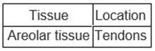 Which type of tissue is correctly paired with its location?