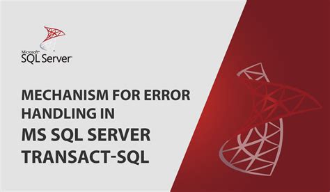 Image result for SQL Program Error