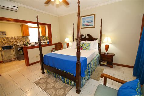 Image result for standard studio